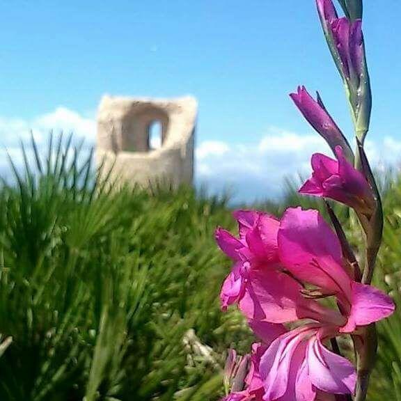 Casa Vacanze Chiara Terrasini Dış mekan fotoğraf